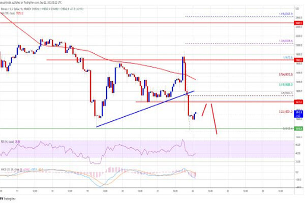 比特币今日最新价格是多少 BTC今日最新行情消息-第3张图片-芝麻交易所下载